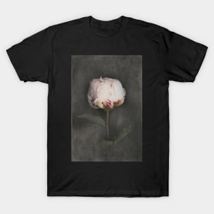 Fleur d'Armour Peony T-Shirt